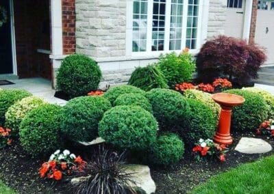 Superior Lawn Care, Lawn Maintenance, and Seasonal Cleanups in Bowmanville, Oshawa, Whitby and Ontario