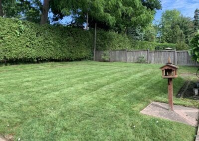 Superior Lawn Care, Lawn Maintenance, and Seasonal Cleanups in Bowmanville, Oshawa, Whitby and Ontario