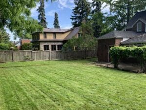 Lawn Maintenance in Bowmanville, Oshawa, Whitby and Ontario