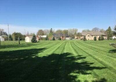 Superior Lawn Care, Lawn Maintenance, and Seasonal Cleanups in Bowmanville, Oshawa, Whitby and Ontario