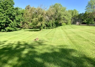 Superior Lawn Care, Lawn Maintenance, and Seasonal Cleanups in Bowmanville, Oshawa, Whitby and Ontario