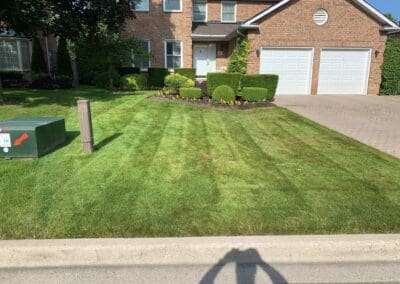 Superior Lawn Care, Lawn Maintenance, and Seasonal Cleanups in Bowmanville, Oshawa, Whitby and Ontario