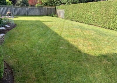 Superior Lawn Care, Lawn Maintenance, and Seasonal Cleanups in Bowmanville, Oshawa, Whitby and Ontario