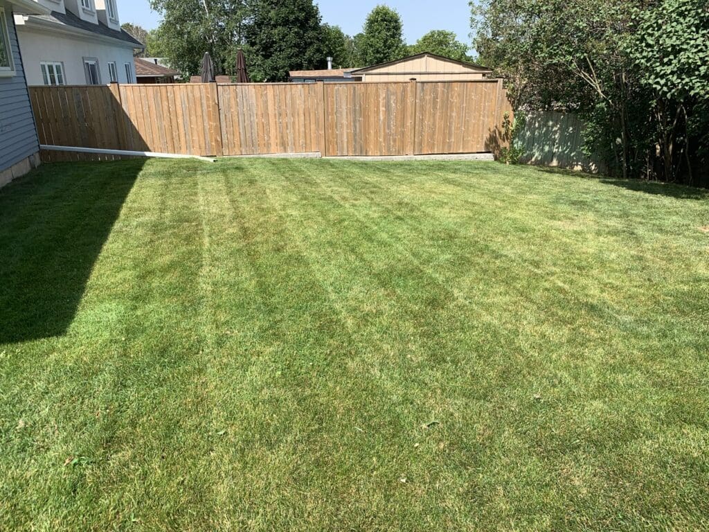 Superior Lawn Care, Lawn Maintenance, and Seasonal Cleanups in Bowmanville, Oshawa, Whitby and Ontario