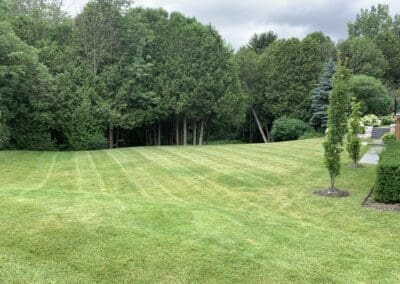 Superior Lawn Care, Lawn Maintenance, and Seasonal Cleanups in Bowmanville, Oshawa, Whitby and Ontario