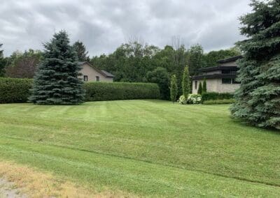 Superior Lawn Care, Lawn Maintenance, and Seasonal Cleanups in Bowmanville, Oshawa, Whitby and Ontario