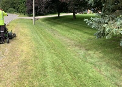 Lawn Care and Seasonal Cleanups in Bowmanville, Oshawa, Whitby and Ontario