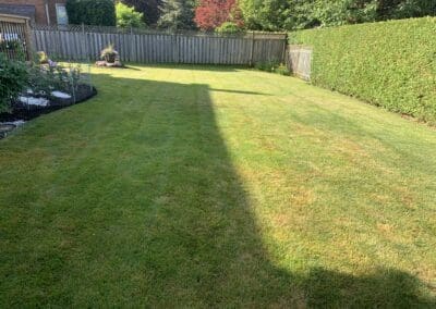 Superior Lawn Care, Lawn Maintenance, and Seasonal Cleanups in Bowmanville, Oshawa, Whitby and Ontario