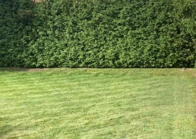 Superior Lawn Care, Lawn Maintenance, and Seasonal Cleanups in Bowmanville, Oshawa, Whitby and Ontario