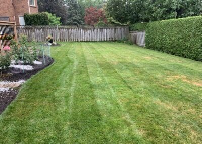 Superior Lawn Care, Lawn Maintenance, and Seasonal Cleanups in Bowmanville, Oshawa, Whitby and Ontario