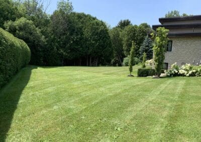 Superior Lawn Care, Lawn Maintenance, and Seasonal Cleanups in Bowmanville, Oshawa, Whitby and Ontario