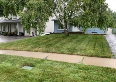 Superior Lawn Care, Lawn Maintenance, and Seasonal Cleanups in Bowmanville, Oshawa, Whitby and Ontario