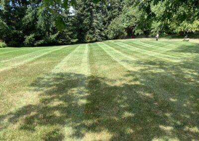 Superior Lawn Care, Lawn Maintenance, and Seasonal Cleanups in Bowmanville, Oshawa, Whitby and Ontario