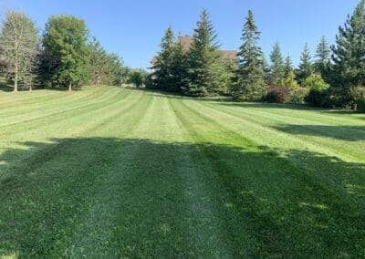 Superior Lawn Care, Lawn Maintenance, and Seasonal Cleanups in Bowmanville, Oshawa, Whitby and Ontario