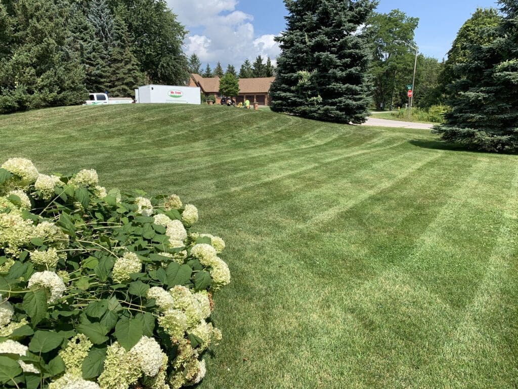 Garden Maintenance, Lawn Care, Lawn Maintenance, and Seasonal Cleanups in Bowmanville, Oshawa, Whitby and Ontario