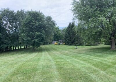 Superior Lawn Care, Lawn Maintenance, and Seasonal Cleanups in Bowmanville, Oshawa, Whitby and Ontario