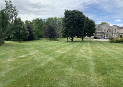 Superior Lawn Care, Lawn Maintenance in Bowmanville, Oshawa, Whitby and Ontario