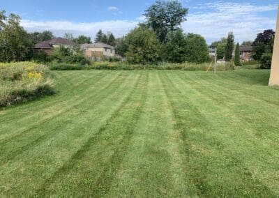 Superior Lawn Care, Lawn Maintenance, and Seasonal Cleanups in Bowmanville, Oshawa, Whitby and Ontario