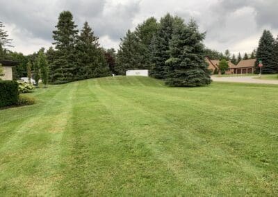 Superior Lawn Care, Lawn Maintenance, and Seasonal Cleanups in Bowmanville, Oshawa, Whitby and Ontario