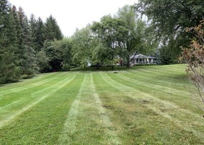 Landscaping, Lawn Care and Garden Maintenance Services