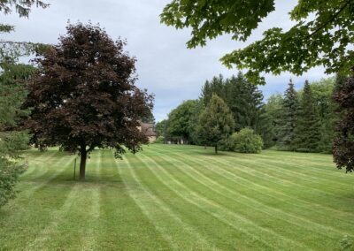 Lawn Maintenance Services in Canada