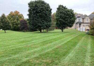 Garden Maintenance, Lawn Care and Landscape Services Bowmanville, Oshawa, and Whitby, Ontario