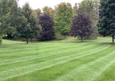 Garden Maintenance, Lawn Care and Landscape Services Bowmanville, Oshawa, and Whitby, Ontario