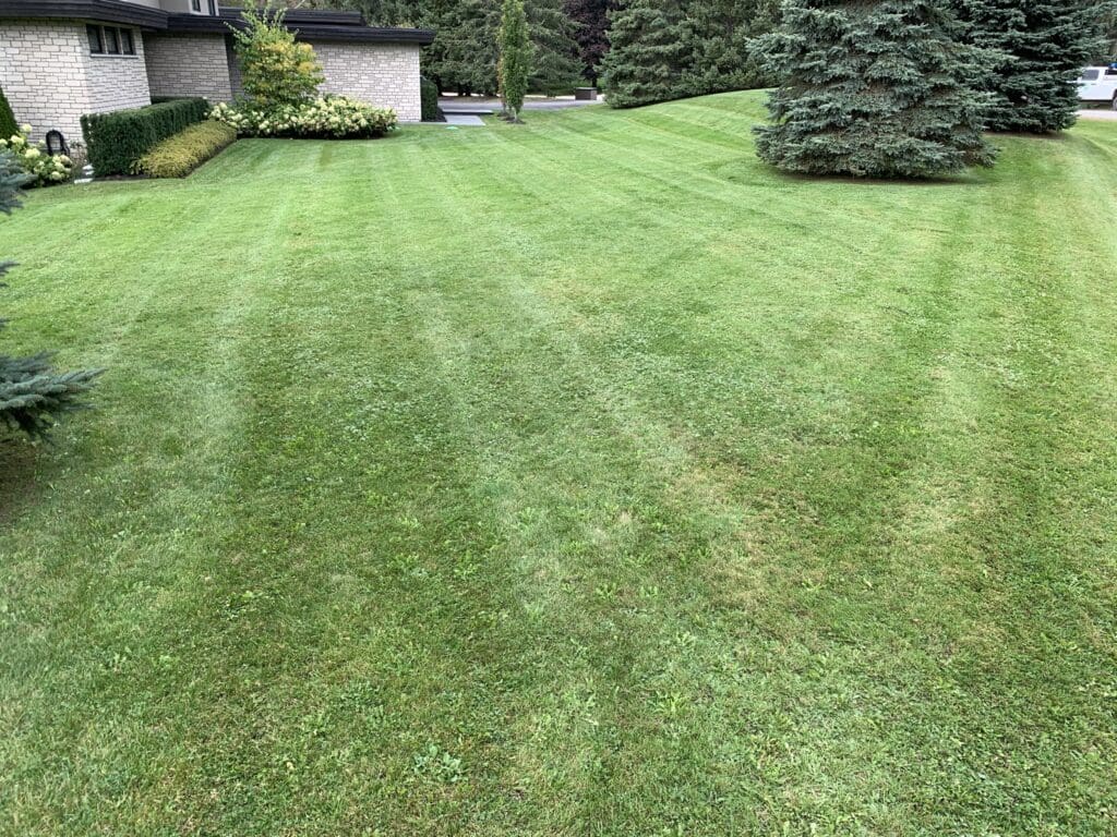Garden Maintenance, Lawn Care and Landscape Services in Bowmanville, Oshawa, and Whitby, Ontario