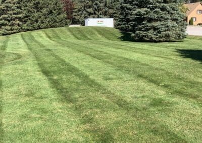 Garden Maintenance, Lawn Care and Landscape Services in Bowmanville, Oshawa, and Whitby, Ontario