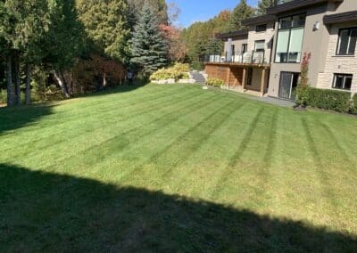 Garden Maintenance, Lawn Care and Landscape Services in Bowmanville, Oshawa, and Whitby, Ontario