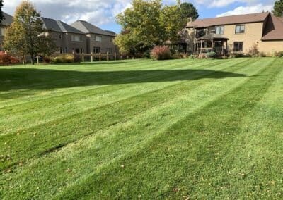 Garden Maintenance, Lawn Care and Landscape Services in Bowmanville, Oshawa, and Whitby, Ontario