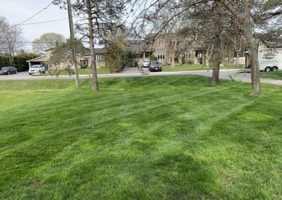 Garden Maintenance, Lawn Care and Landscape Services in Bowmanville, Oshawa, and Whitby, Ontario