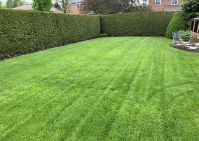 Garden Maintenance, Lawn Care, Landscape Maintenance, Seasonal Cleanups, Snow and Ice Management Services in Bowmanville, Oshawa, and Whitby, Ontario
