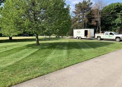 Mr. Trim Lawn Maintenance