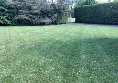 Garden Maintenance, Lawn Care, Landscape Maintenance, Seasonal Cleanups, Snow and Ice Management Services in Bowmanville, Oshawa, and Whitby, Ontario