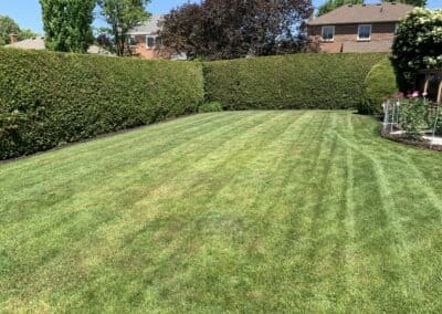 Lawn Care Services in Canada