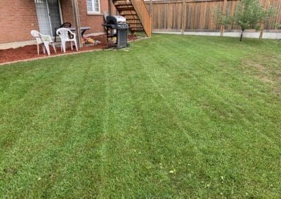 Lawn Maintenance Services in Canada