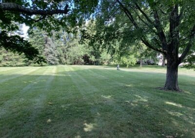 Garden Maintenance, Lawn Care, Landscape Maintenance, Seasonal Cleanups, Snow and Ice Management Services in Bowmanville, Oshawa, and Whitby, Ontario