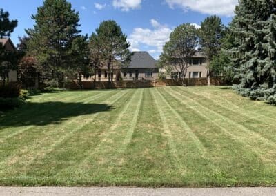 Lawn Care and Maintenance Services - Mr. Trim