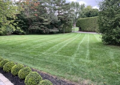 Lawn Care and Maintenance in Ontario, Canada