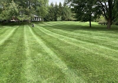 Garden Maintenance, Lawn Care, Landscape Maintenance, Seasonal Cleanups, Snow and Ice Management Services in Bowmanville, Oshawa, and Whitby, Ontario