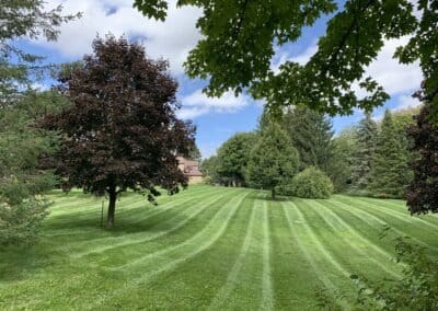 Garden Maintenance, Lawn Care, Landscape Maintenance, Seasonal Cleanups, Snow and Ice Management Services in Bowmanville, Oshawa, and Whitby, Ontario