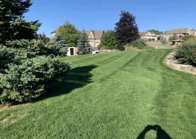 Garden Maintenance in Bowmanville, Oshawa, and Whitby, Ontario