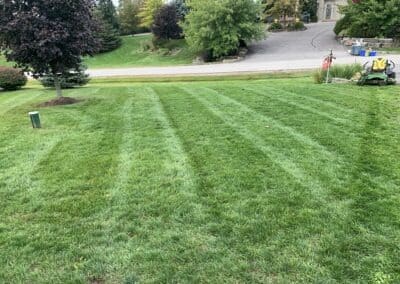 Garden Maintenance, Lawn Care, Landscape Maintenance, Seasonal Cleanups, Snow and Ice Management Services in Bowmanville, Oshawa, and Whitby, Ontario