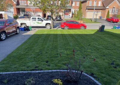 Garden Maintenance Services in Bowmanville, Oshawa, and Whitby, Ontario