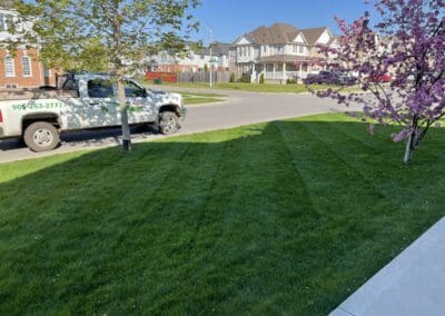 Garden Maintenance, Lawn Care, Landscape Maintenance, Seasonal Cleanups, Snow and Ice Management Services in Bowmanville, Oshawa, and Whitby, Ontario