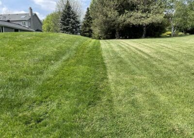 Garden Maintenance, Lawn Care, Landscape Maintenance, Seasonal Cleanups, Snow and Ice Management Services in Bowmanville, Oshawa, and Whitby, Ontario