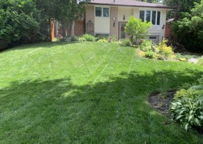 Lawn Management Services