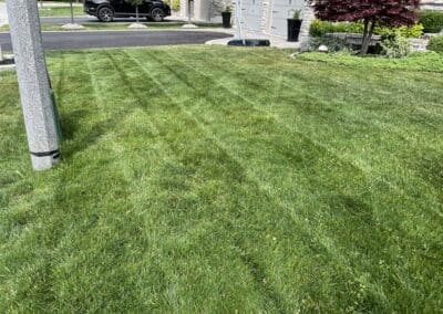 Garden Maintenance, Lawn Care, Landscape Maintenance, Seasonal Cleanups, Snow and Ice Management Services in Bowmanville, Oshawa, and Whitby, Ontario