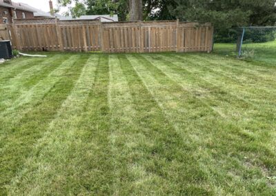 Garden Maintenance, Lawn Care, Landscape Maintenance and Services in Bowmanville, Oshawa, and Whitby, Ontario